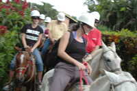  2007-12-10 16.15.36.JPG 